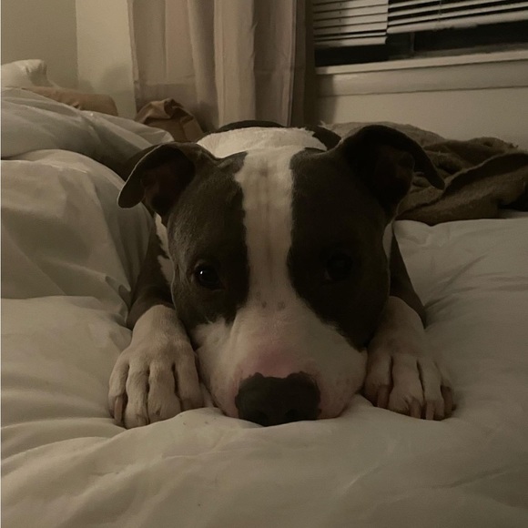 Meet your Posher, Kourtney - Picture 15 of 16